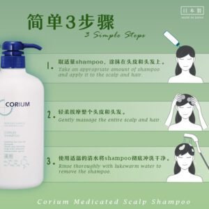 Corium_SH_P_6